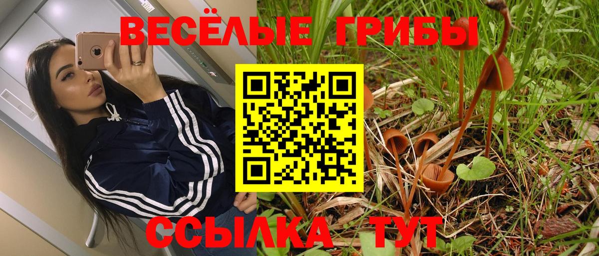 Алушта  Галлюциногенные грибы мухоморы  Галлюциногенные грибы MAGIC MUSHROOMS  Вход с VPN 